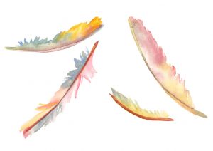 feathers watercolor illustration