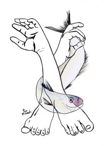 Fish Feet Hands Illustration
