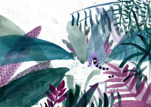 Nebi Illustrated Storybook