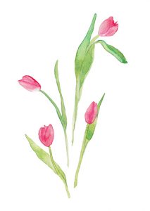 Watercolor Flowers Pink