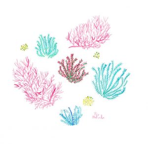 Watercolor Seaplants